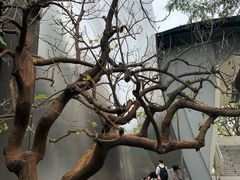 -华特·迪士尼音乐厅