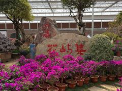 -沂蒙云瀑洞天景区