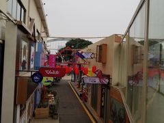 -霏梵印象公园摄影基地