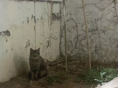 -0907餐厅(核桃园店)