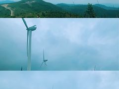 -东白山