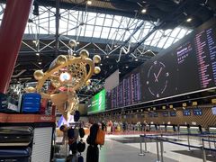 -谢列梅捷沃国际机场