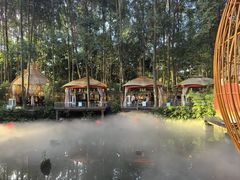 -二荆条·蜀鲜汇城市森林火锅