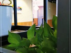 -鲜芋仙Meet Fresh(五道口店)