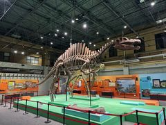 -国家自然博物馆