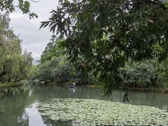 -荔枝公园(福田区)