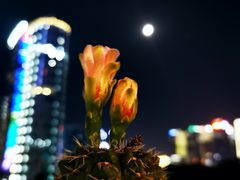 -星巴克(凯德晶萃店)