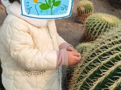 -南山植物园