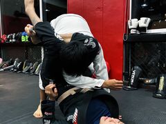 -极斗-IKMF马伽术·格斗运动学院(东直门店)
