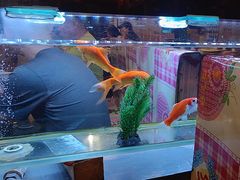 -粗粮人家·东北菜(洋桥店)