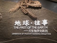 -柳州白莲洞洞穴科学博物馆