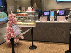 -奈雪的茶(石家庄万象城店)
