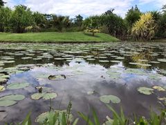 -中国科学院西双版纳热带植物园