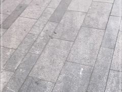 -钟方模白家肥肠粉(春熙店)