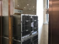 -宠爱国际动物医院· 猫科· 外科·中兽医(长白店)