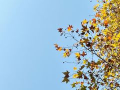 -东湖生态旅游风景区