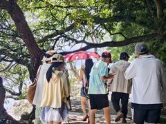 -抚仙湖禄充风景区