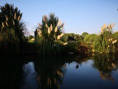 -乌镇望津里精品酒店