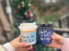 -金鸡湖桃花岛