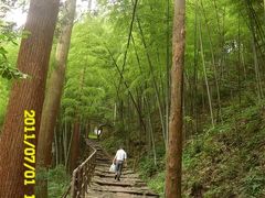 -东天目山风景区
