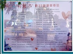 -荷兰花海