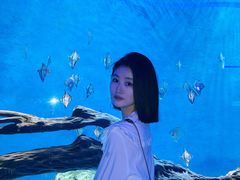 -石家庄极地海洋世界