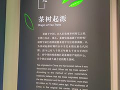 -中国茶叶博物馆(双峰馆区)