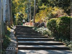 -火炉山森林公园