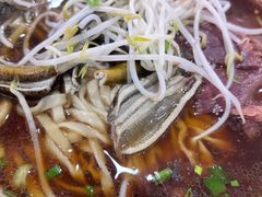 -邵顺兴锅盖面(金山宝地店)