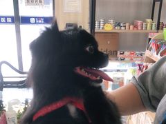 -宠颐生动物医院·小陆分院