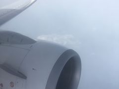 -新加坡航空公司(ION)