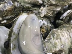 -大富蚝乌东哥饭店·石锅鱼杂·柠檬鸭(革新路店)