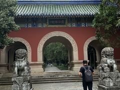 -灵谷景区