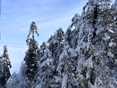 -瓦屋山景区