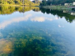 -海南热带雨林国家公园吊罗山景区