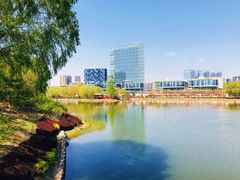 -大兴滨河森林公园