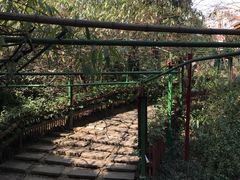 -成都市活水公园