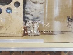 -拾壹cafe·工作室
