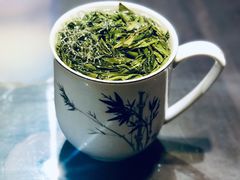 绿杨春-九炉分座(个园店)