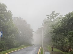 -黄埔油麻山森林公园