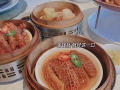 -三号黄浦会Canton Table