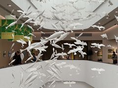 -中国湿地博物馆