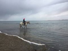 -青海湖国家重点风景名胜区