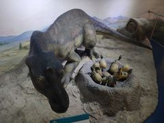 -国家自然博物馆