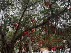 -厦门大学(思明校区)