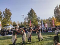 -九十九顶毡房(阜石路店)