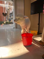 -莫奈庄园·儿童摄影馆·影视基地(江宁店)