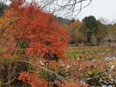-黄陂区野村谷景区