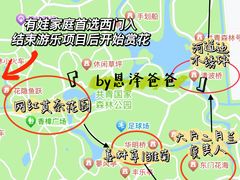 -上海共青森林公园