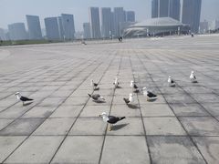 -东港音乐喷泉广场